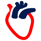 Cardiology
