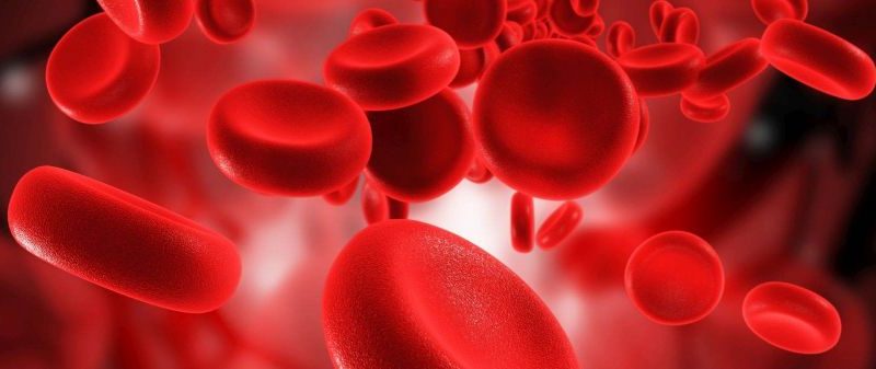 HEMATOLOGY