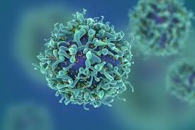 IMMUNOLOGY