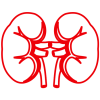 Kidney Package